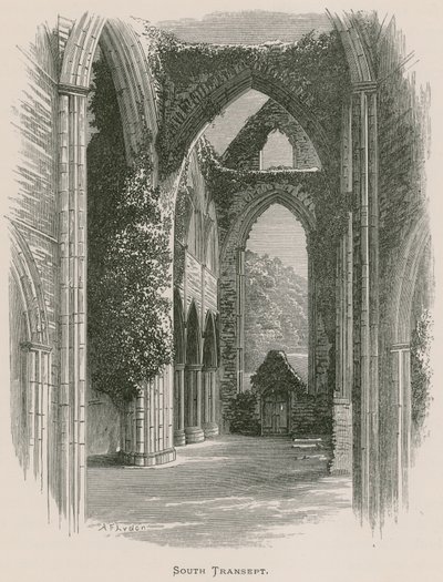 Abbaye de Tintern, transept sud - Alexander Francis Lydon